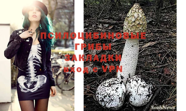 ECSTASY Бугульма