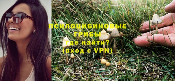 МДПВ Вязники