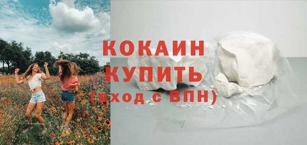 винт Вяземский