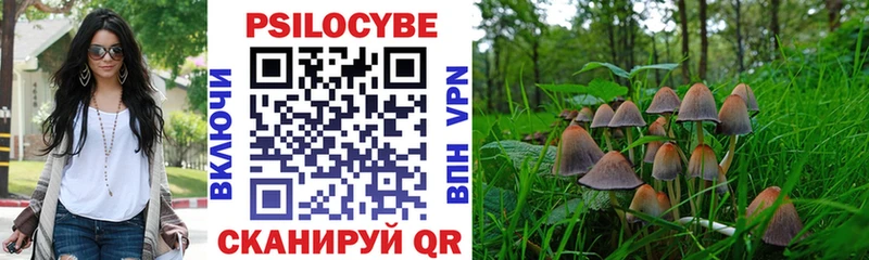 Купить  Вельск  Псилоцибиновые грибы Psilocybe 